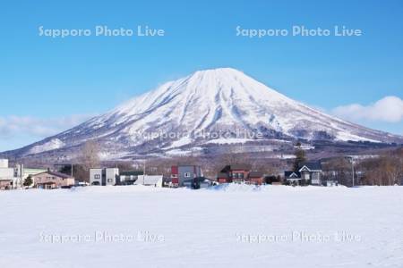 羊蹄山と住宅地