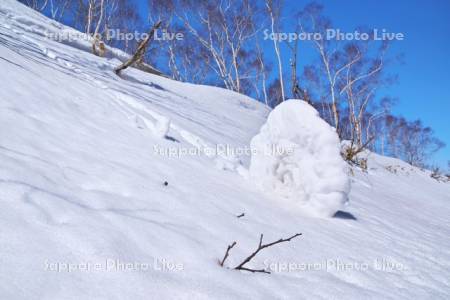 雪まくり（80㎝弱）