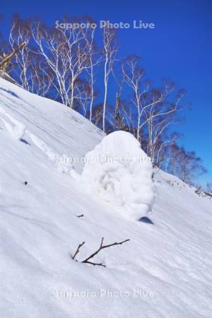 雪まくり（80㎝弱）