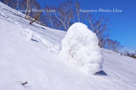 雪まくり（80㎝弱）