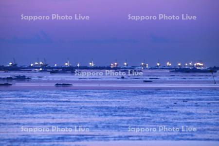 尾岱沼漁港から出漁するホタテ漁船の朝と流氷