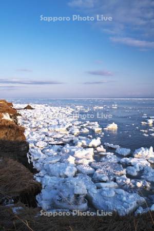納沙布岬の朝の流氷