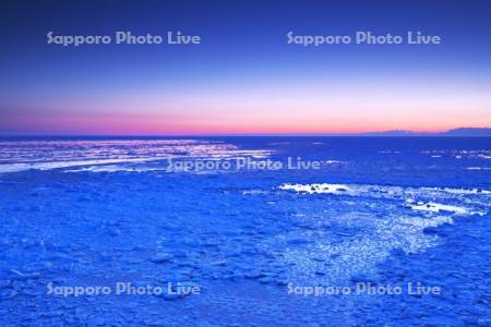 能取岬の朝の流氷