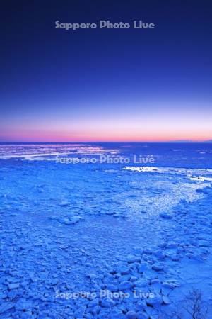 能取岬の朝の流氷