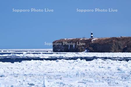 能取岬とオホーツク海の流氷