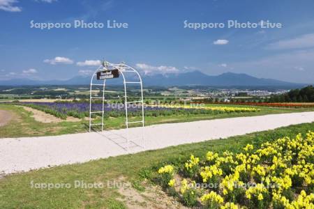 フラワーランド　十勝岳連峰とヘブンロード白い道