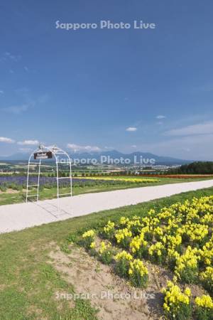 フラワーランド　十勝岳連峰とヘブンロード白い道