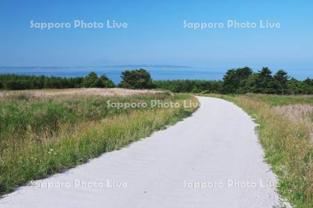 宗谷丘陵のホタテの白い道と利尻島