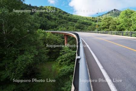 無意根大橋　国道230号線