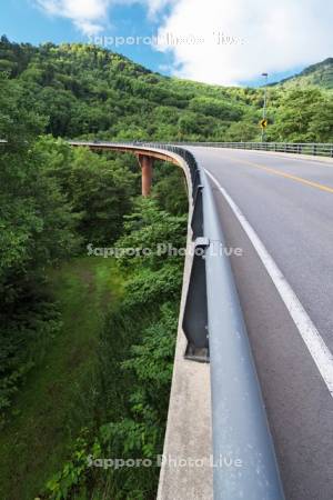 無意根大橋　国道230号線