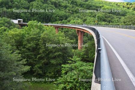 無意根大橋　国道230号線