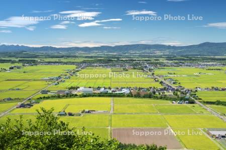 田園風景