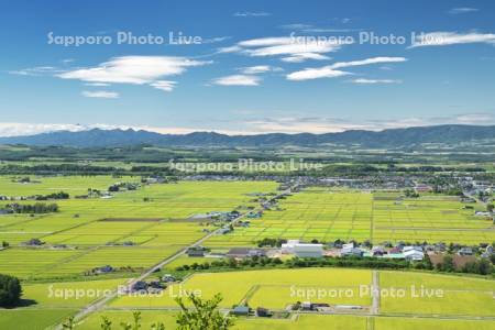 田園風景