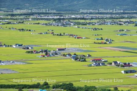 田園風景