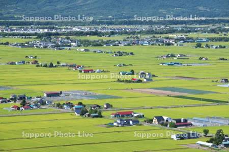 田園風景