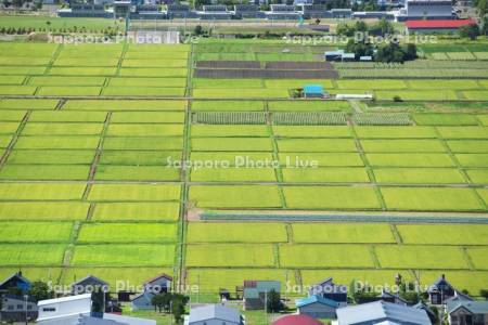 田園風景