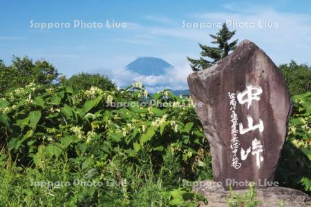 中山峠と羊蹄山