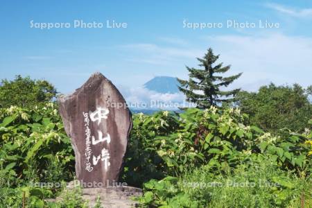 中山峠と羊蹄山