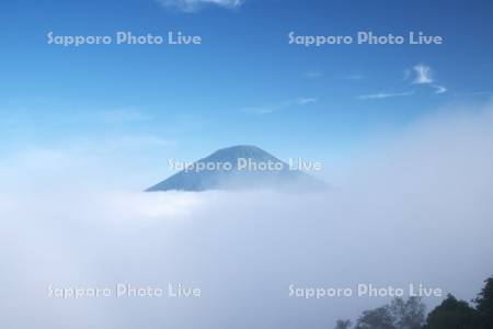 羊蹄山と雲海