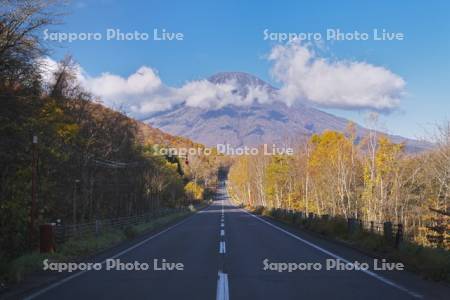 羊蹄山と紅葉と道 国道276号線