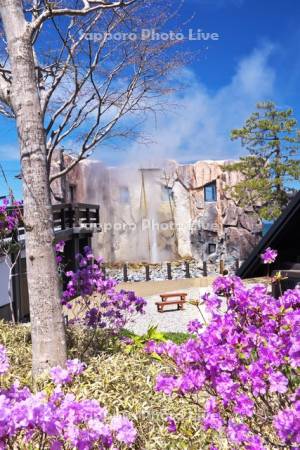 しかべ間歇泉公園とツツジ
