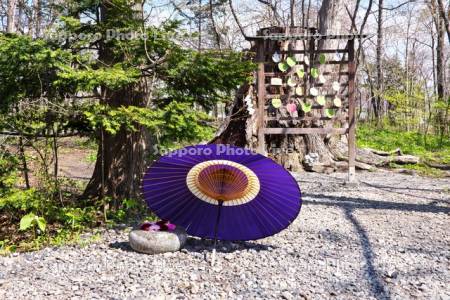 帯廣神社の和傘と花手水