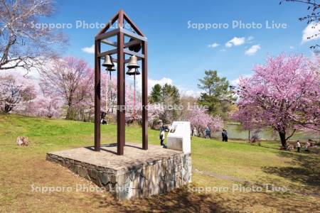 緑ヶ丘公園とサクラ