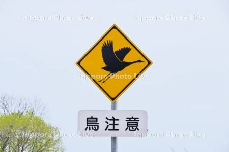 道路標識　鳥注意