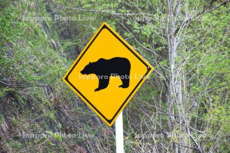 道路標識　クマ注意