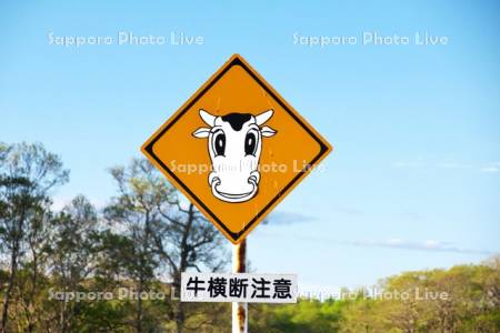 道路標識　牛横断注意