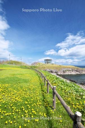 日の出岬と日の出岬展望台ラ・ルーナとオホーツク海