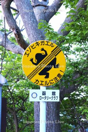 道路標識　カエル注意