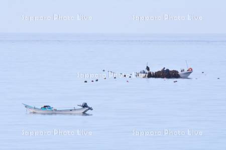 昆布漁と日本海