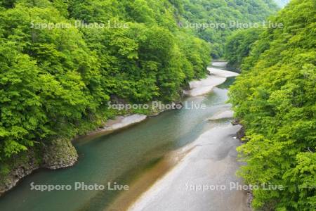 沙流川渓谷