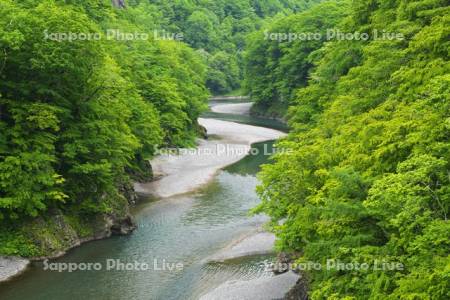 沙流川渓谷