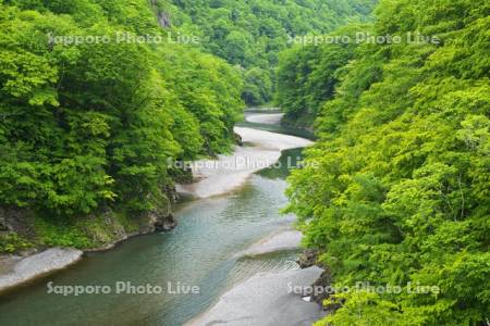 沙流川渓谷