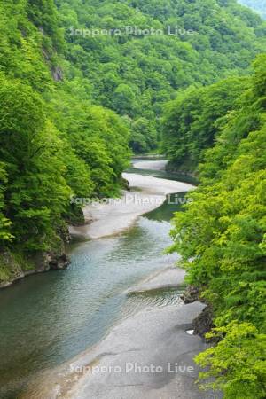 沙流川渓谷