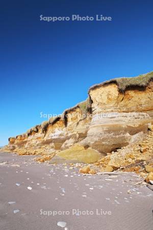 晩成海岸の断崖（断壁）と地層