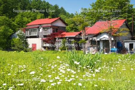 真谷地地区の廃屋