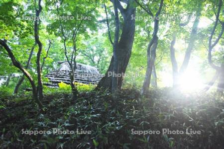 ところ遺跡の森　擦文の村