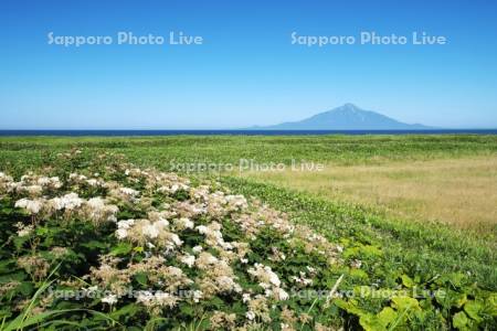 利尻島と日本海