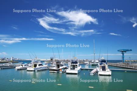 増毛港とノールマリーナましけ