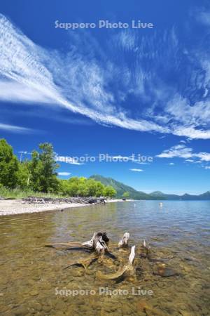 支笏湖の枯木と恵庭岳