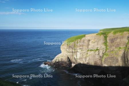 涙岬と太平洋