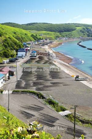 末広海岸の昆布干し