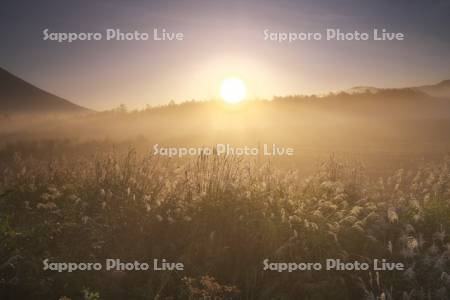羊蹄山の日の出