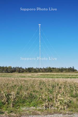 ラジオ放送所のアンテナ