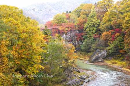 滝の上公園の紅葉と夕張川