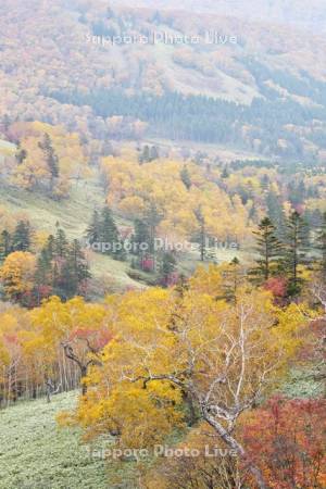 日勝峠の朝霧と紅葉