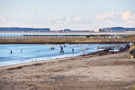 拾い昆布と軽トラック
